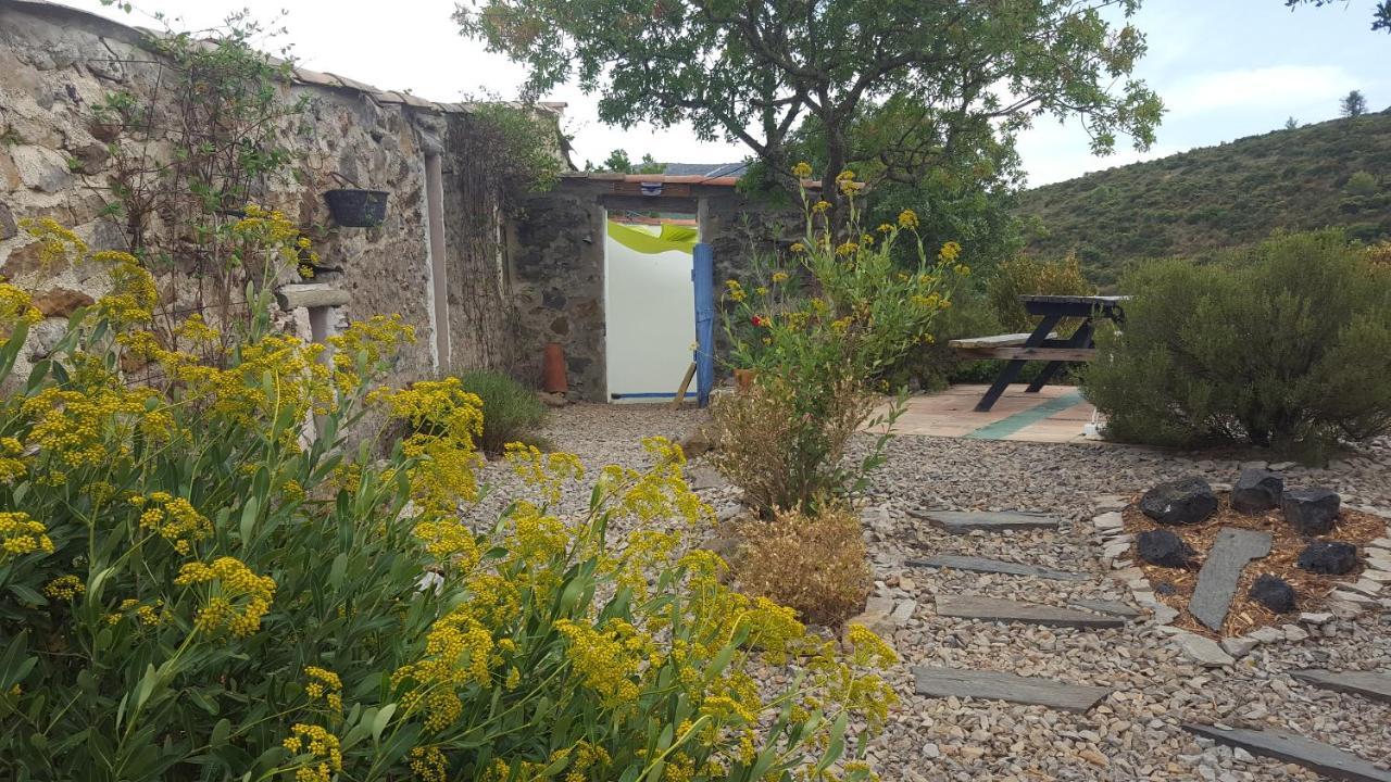 Bed and Breakfast La Loubière, ancienne bergerie en pleine garrigue Fraissé-des-Corbières Esterno foto